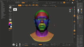 Advanced Facial Blendshape Networks