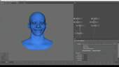 Advanced Facial Blendshape Networks