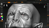 Creating a Realistic Humanoid 3D Character 
