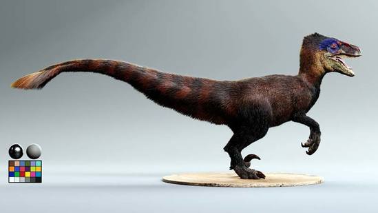 Creating Creature Fur Using XGen & Arnold thumbnail