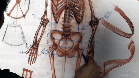 Anatomy Workshop Volume 3 Thumbnail
