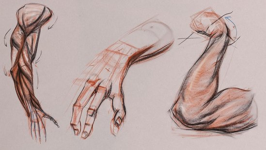 Anatomy Workshop Volume 6 Thumbnail