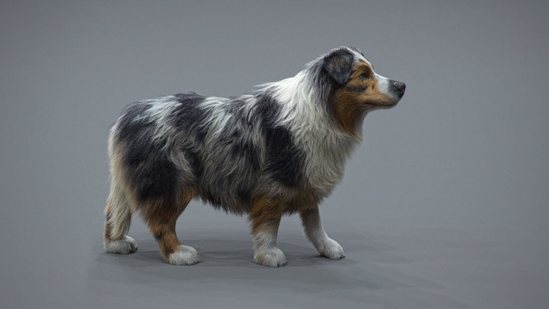 Realistic Dog Grooming for Production with XGen thumbnail