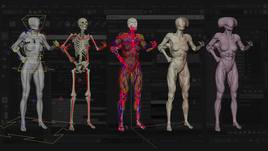 Introduction to Ziva VFX: Volume 2 thumbnail