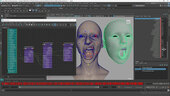 FACS Rigging for Facial Motion Capture
