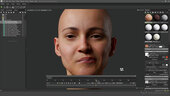 FACS Rigging for Facial Motion Capture