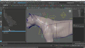 Creating a Quadruped Rig For Production