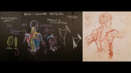 Anatomy for Artists Volume 1 Thumbnail