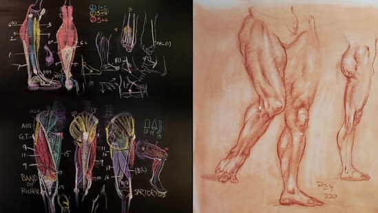 Anatomy for Artists Volume 2 Thumbnail